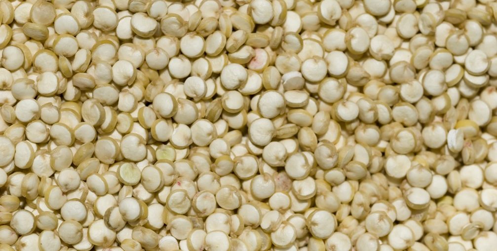 Quinoa: l'alimento nutriente dai tanti benefici e dalla grande versatilità in cucina