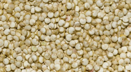 Quinoa: l'alimento nutriente dai tanti benefici e dalla grande versatilità in cucina