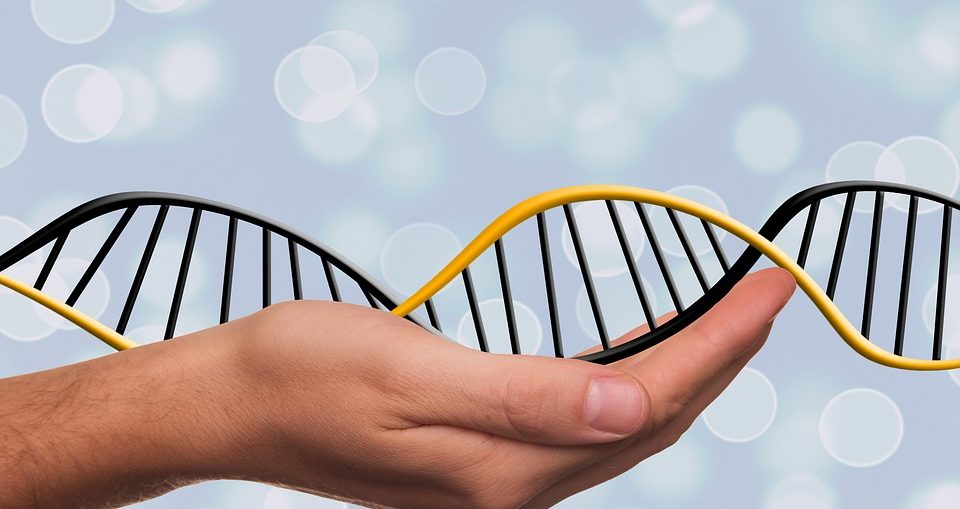 dna