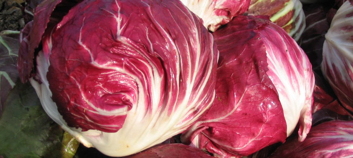 radicchio